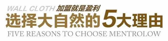 選擇大自然墻布品牌的5大理由