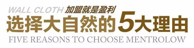 選擇大自然墻布品牌的5大理由